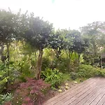 Koko Garden *