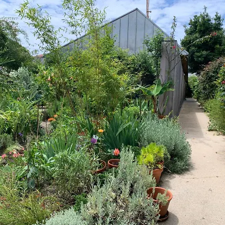 Koko Garden דירה *