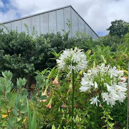 Koko Garden * פורטו