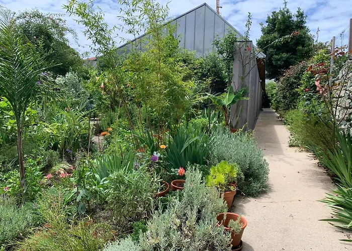 Koko Garden דירה *