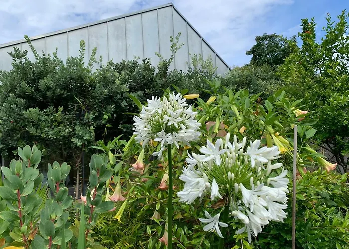 Koko Garden * פורטו