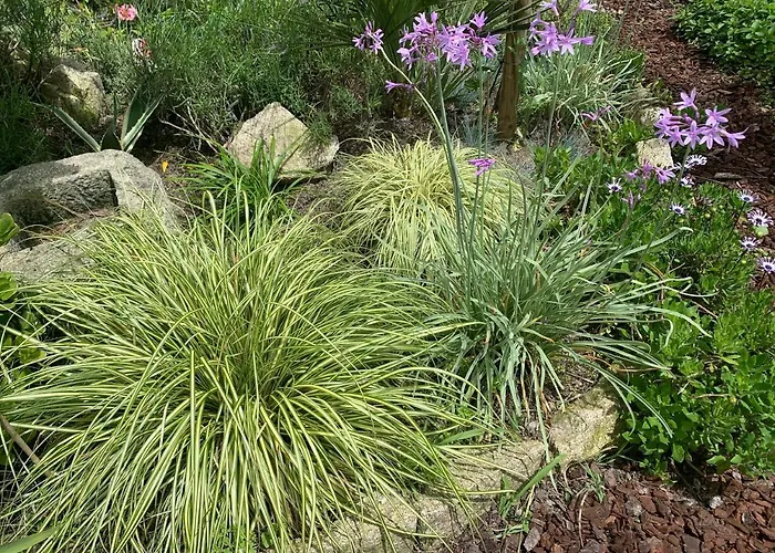 Koko Garden פורטו