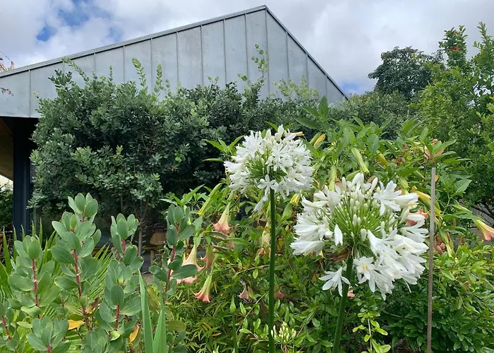 Koko Garden * פורטו