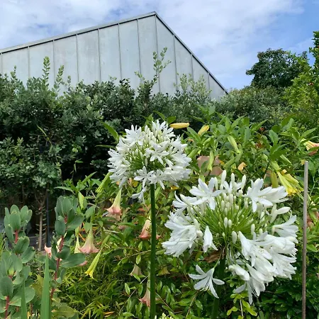 Koko Garden * Porto