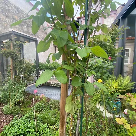Apartamento Koko Garden *