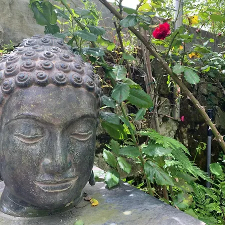 Koko Garden 아파트