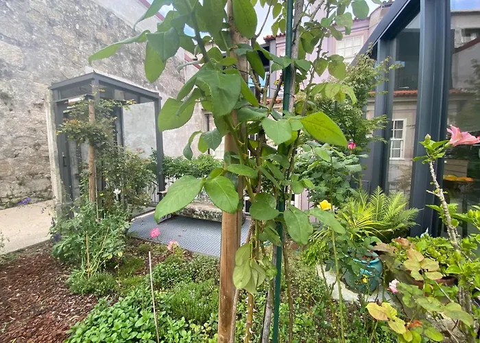 Appartamento Koko Garden *