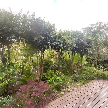 Koko Garden *
